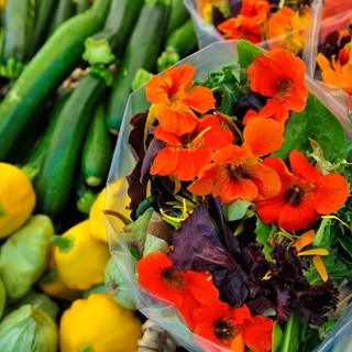 I fiori? si possono mangiare. Alla scoperta dei fiori commestibili con Hortives e CREA di Sanremo