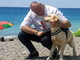 Vallecrosia: spiaggia pet friendly, Perri “Noi molto amici e sensibili alle esigenze degli animali”