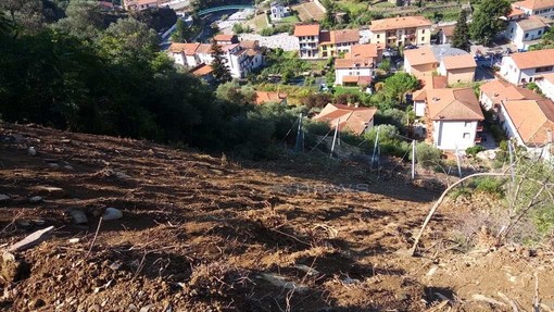 Badalucco: frana in regione Poggio, lettrice chiede risposte &quot;Tante parole ma siamo ancora isolati e ora arrivano le piogge autunnali&quot;