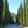 Ventimiglia celebra Sant’Antonio da Padova, festa nel parco verde degli alpini a Trucco (Foto)