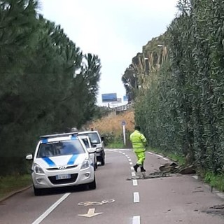 Santo Stefano al Mare: smottamento di terreno sotto l'Aurelia, massi finiscono sulla ciclabile (Foto)