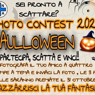 Sanremo: al via le iscrizioni per il contest fotografico 'Bauwloween' organizzato dall'Enpa