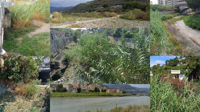 Arrivano le piogge: Comuni dell'estremo Ponente pronti per la pulizia di torrenti e alvei (Foto)