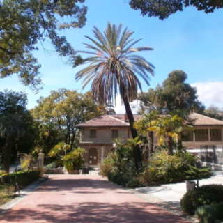 Il Floriseum-Caffè, il Mondo di Ronnie, Enpa Sanremo e la Lavanda Riviera dei Fiori insieme per un 'Apericena a 4 zampe'