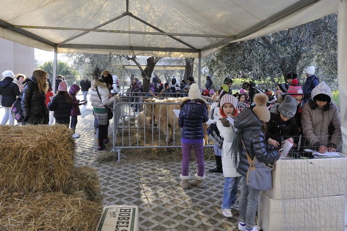 San Bartolomeo al Mare: il programma dell'ultima giornata della Festa della Candelora