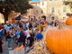 Vallecrosia: tutto pronto per la festa della zucca nel centro storico