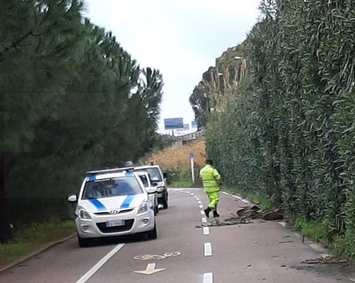 Santo Stefano al Mare: smottamento di terreno sotto l'Aurelia, massi finiscono sulla ciclabile (Foto)