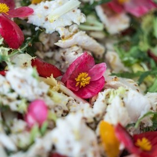 Alassio, due esperienze gastronomiche uniche al Festival Nazionale Cucina con i Fiori: ecco la &quot;Flowers Dinner Experience&quot;