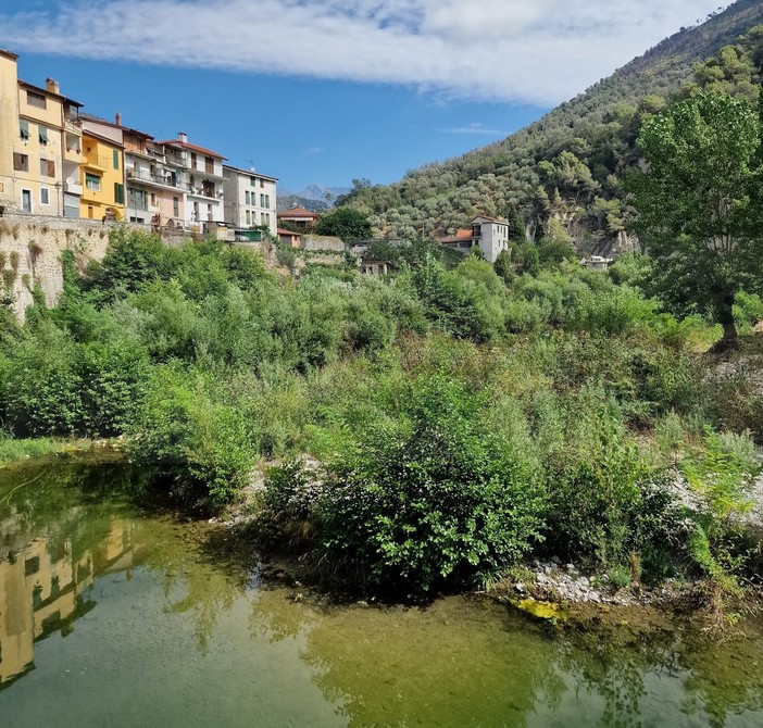 Ventimiglia: grido d'allarme da frazione Torri &quot;Il Bevera è diventato una foresta, serve un intervento&quot; (Foto)