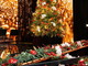 I fiori di Sanremo e le composizioni floreali dell'Affi decorano il palco del 'Concerto di Natale' in Vaticano