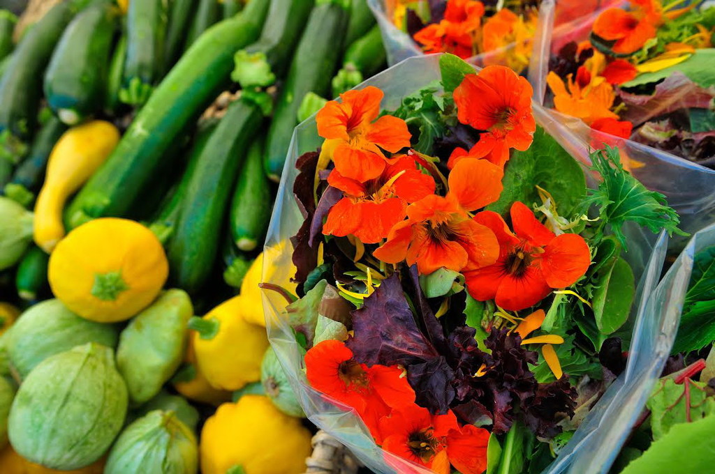 I fiori? si possono mangiare. Alla scoperta dei fiori commestibili con  Hortives e CREA di Sanremo 