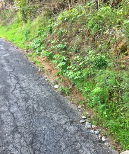 Ventimiglia: frana in via Sant'Anna. Alcuni alberi in strada da questa mattina, intervento dei VVF