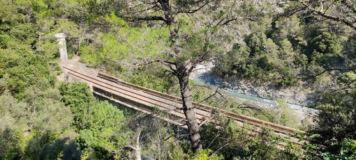 Tavolo Piemonte-Liguria-Région Sud, Cuneo-Ventimiglia linea ferroviaria strategica per l’Italia e la Francia