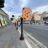 I girasoli lasciati sul paletto di via Martiri della Libertà