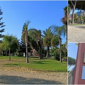 Gruppo di bimbi visita i giardini pubblici di Ventimiglia, giornata alla scoperta del polmone verde della città (Foto)