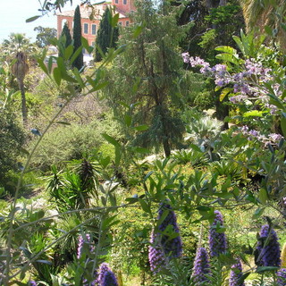 Ventimiglia: domenica prossima appuntamento ai Giardini Hanbury con la 'Festa dei Nonni'