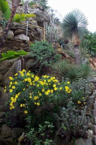 Ventimiglia: sabato prossimo nuovo appuntamento con la visita al Giardino Esotico Pallanca