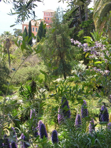 Ventimiglia: domenica prossima appuntamento ai Giardini Hanbury con la 'Festa dei Nonni'