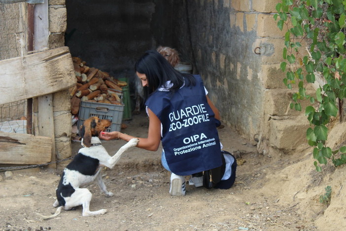 Al via in tutte le Province i corsi di formazione per diventare guardie Eco-Zoofile OIPA