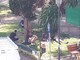 Ventimiglia: giardini di frazione Latte con molti migranti 'accampati', la segnalazione di un lettore (Foto)