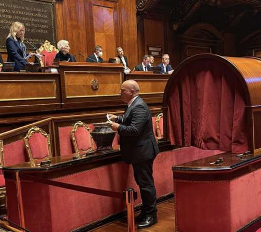 Gianni Berrino al voto in Senato