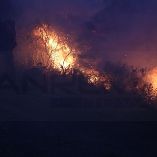 Ventimiglia: ancora incendi in questa calda estate, fuoco sul lungo Roya vicino al 'Sirena', intervento dei Vvf