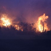 Ventimiglia: spento poco prima della mezzanotte l'incendio alla 'Curva del Gallo' in frazione Latte