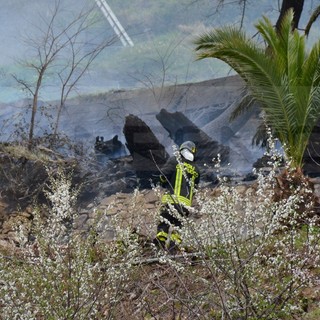 Bordighera: secondo incendio ad un palmeto in pochi giorni vicino al cimitero dell'Arziglia