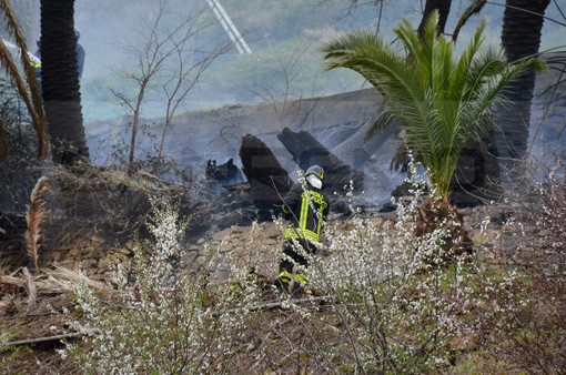 Bordighera: secondo incendio ad un palmeto in pochi giorni vicino al cimitero dell'Arziglia