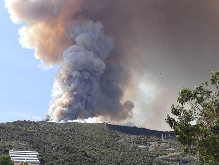 Settore forestale, vice presidente Piana: &quot;Bandi per oltre 14 milioni di euro per la prevenzione dei danni da incendi e altre calamità&quot;