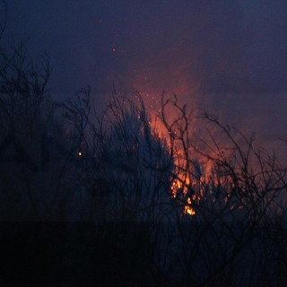 Montalto Carpasio: piccolo incendio boschivo nella serata di ieri, intervento dei Vigili del Fuoco