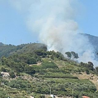 L'incendio a Vallebona (Foto di Annabelle Bryant)