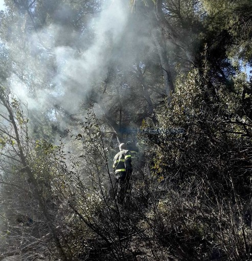 Le immagini dal luogo dell'incendio