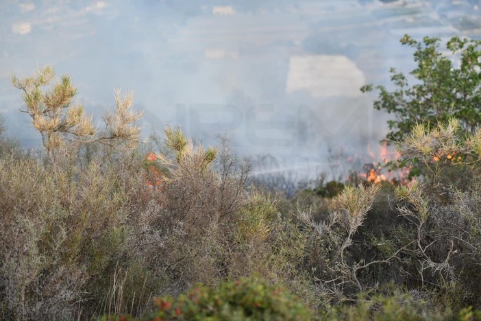 Diano Marina: incendio di un canneto sull'argine del torrente, intervento dei Vigili del Fuoco