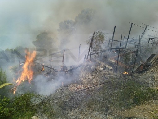 Doppio incendio tra Grimaldi e Pietrabruna: andati in fumo 20 ettari di bosco. 5 mezzi aerei e decine di soccorritori impegnati