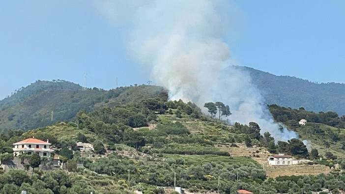 L'incendio a Vallebona (Foto di Annabelle Bryant)