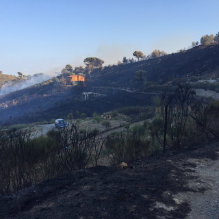 Imperia: 10 ettari di bosco e sterpaglie in fumo oggi pomeriggio tra Civezza, Santa Brigida e Conio (Foto e Video)