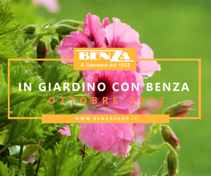 &quot;In giardino con Benza&quot;: su Sanremonews parte la rubrica con i consigli mensili dell'agronomo Enrico Leva