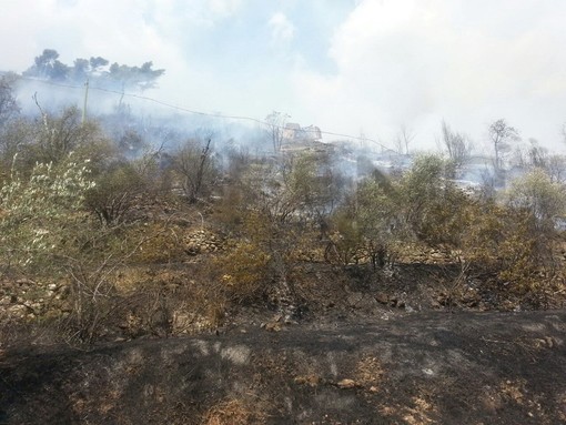 Perinaldo: peggiora l'incendio in località Massabò, 5 mezzi aerei sul posto ed alcune abitazioni evacuate