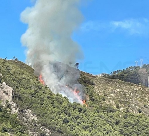 Ventimiglia: incendio boschivo nella zona di Villatella, intervento di Vigili del Fuoco e Volontari (Foto)