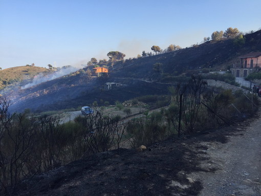 Imperia: 10 ettari di bosco e sterpaglie in fumo oggi pomeriggio tra Civezza, Santa Brigida e Conio (Foto e Video)