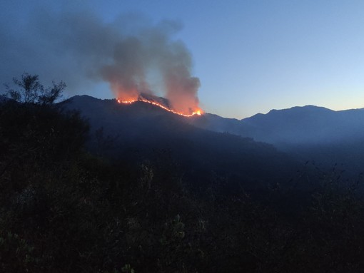 Al fuoco i boschi tra Olivetta San Michele e Torri: elicotteri e canadair in azione (Foto)