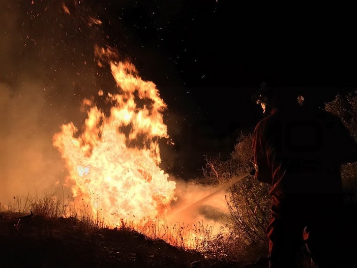 Fiamme nei boschi di Olivetta San Michele: l'incendio in una zona boschiva impervia
