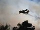 Bruciano ancora i boschi di Ceriana, in fiamme 97 ettari di macchia mediterranea. Oggi hanno lavorato tre Canadair e un elicottero