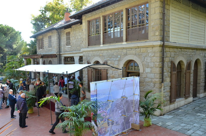 Sanremo: sabato una visita alla scoperta degli Alberi Monumentali e del Museo del Fiore