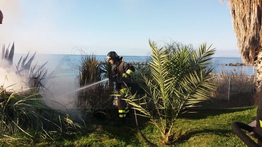 Sanremo: piccolo incendio di un'aiuola sul lungomare Italo Calvino, pronto intervento dei Vvf (Foto)