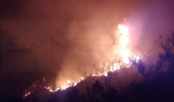 Sanremo: incendio questa notte nella zona della Croce della Parà, intervento di Vvf e Volontari (Foto)