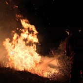 Fiamme nei boschi di Olivetta San Michele: l'incendio in una zona boschiva impervia