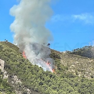 Ventimiglia: incendio boschivo nella zona di Villatella, intervento di Vigili del Fuoco e Volontari (Foto)