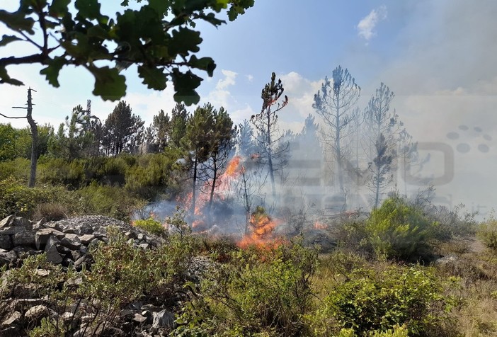 Antincendio boschivo: continua l’attività di Anci Liguria nella cooperazione transfrontaliera